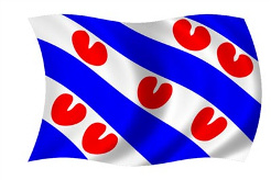 Fryske flag